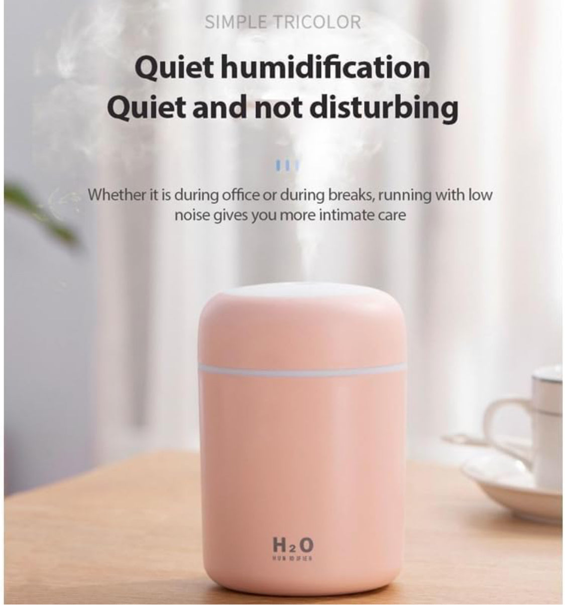 H2O Humidifier ✨