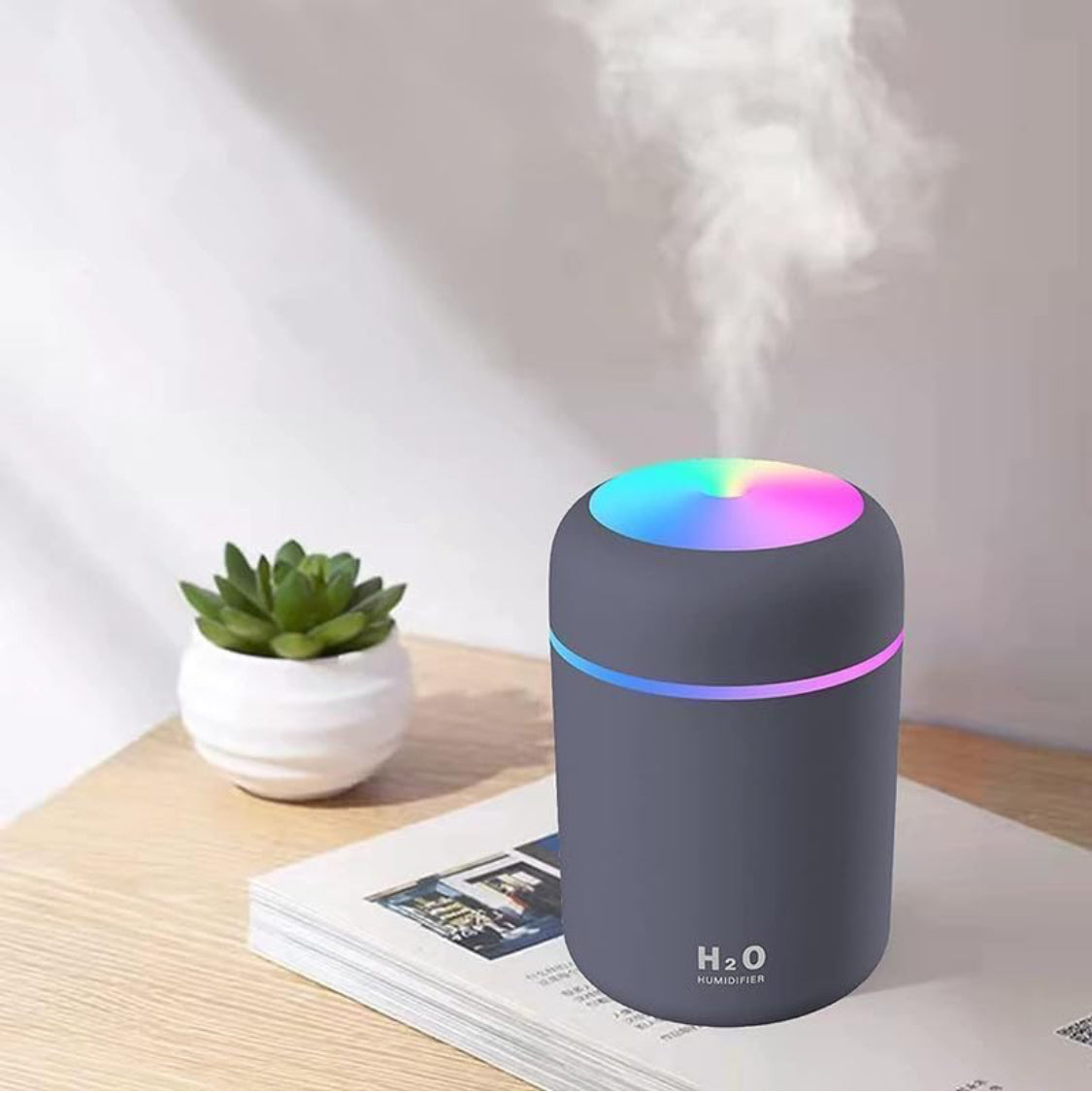 H2O Humidifier ✨